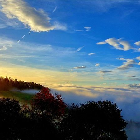Gasthof Machwirth Griffen エクステリア 写真