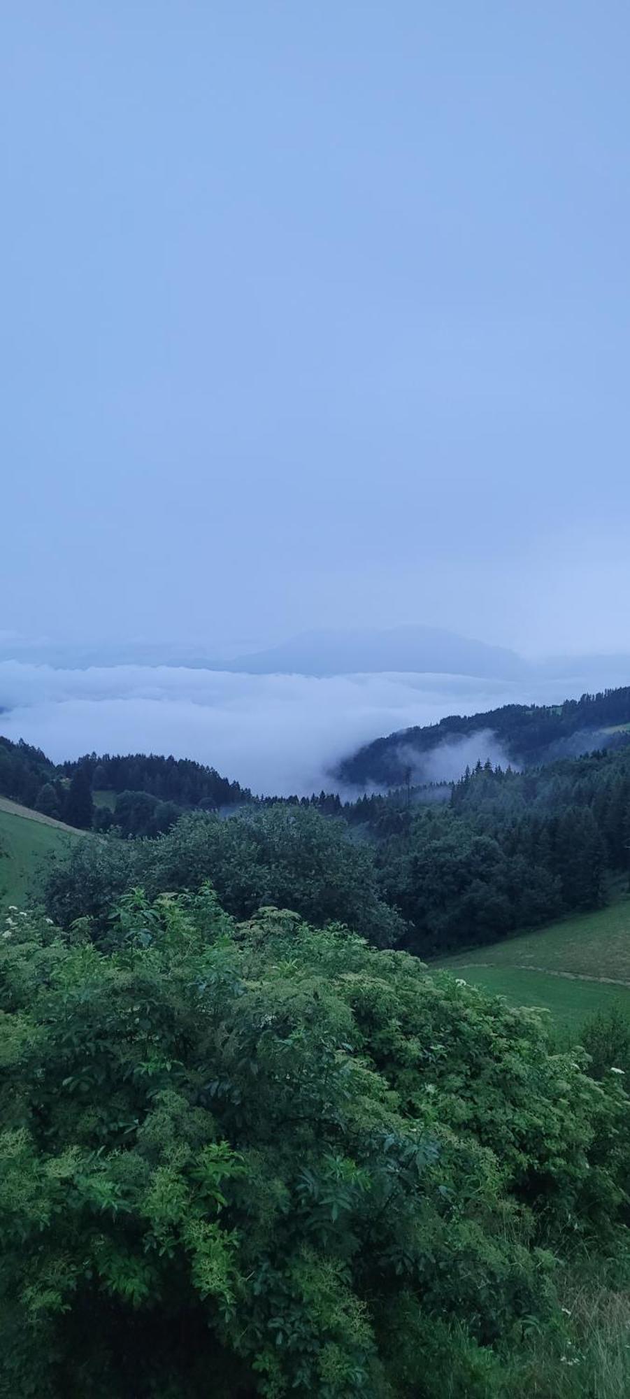 Gasthof Machwirth Griffen エクステリア 写真