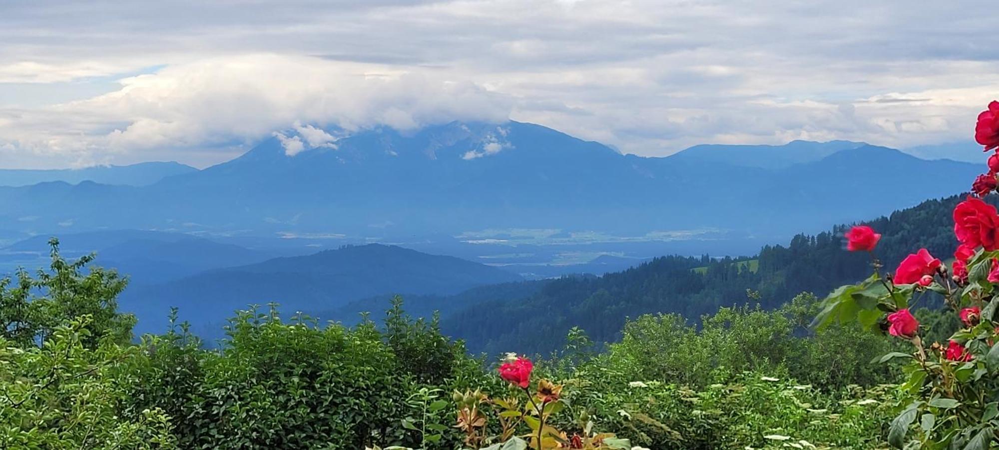 Gasthof Machwirth Griffen エクステリア 写真