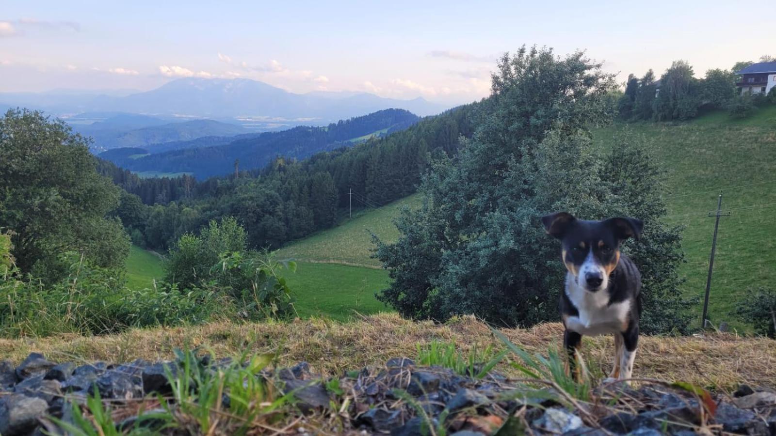 Gasthof Machwirth Griffen エクステリア 写真