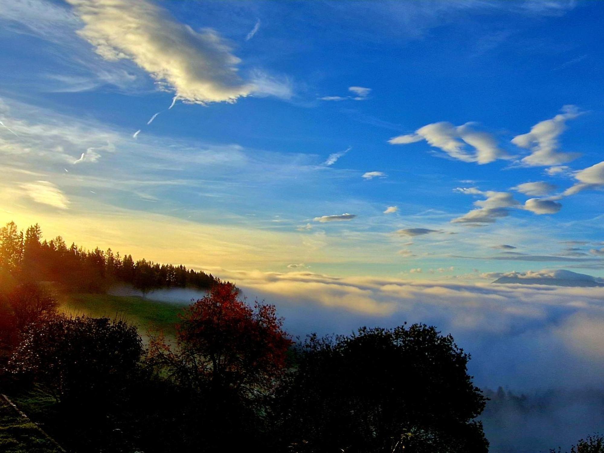 Gasthof Machwirth Griffen エクステリア 写真